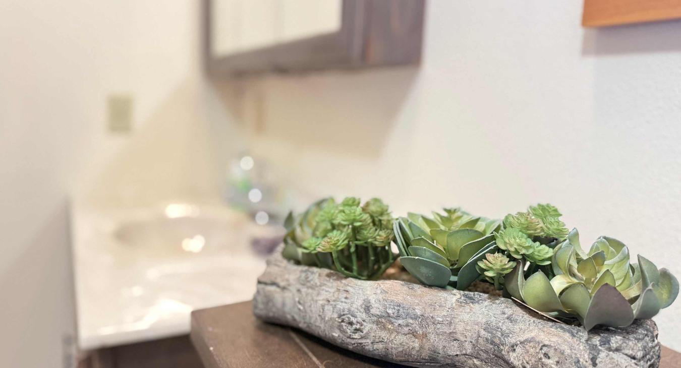 Master bathroom