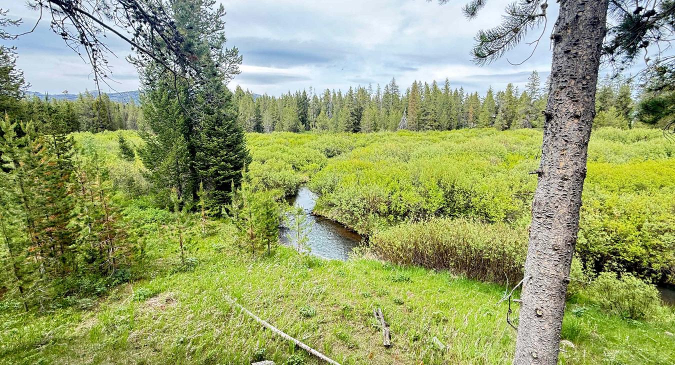 40 MI to YNP | Creek Views | Hidden Creek Cabin