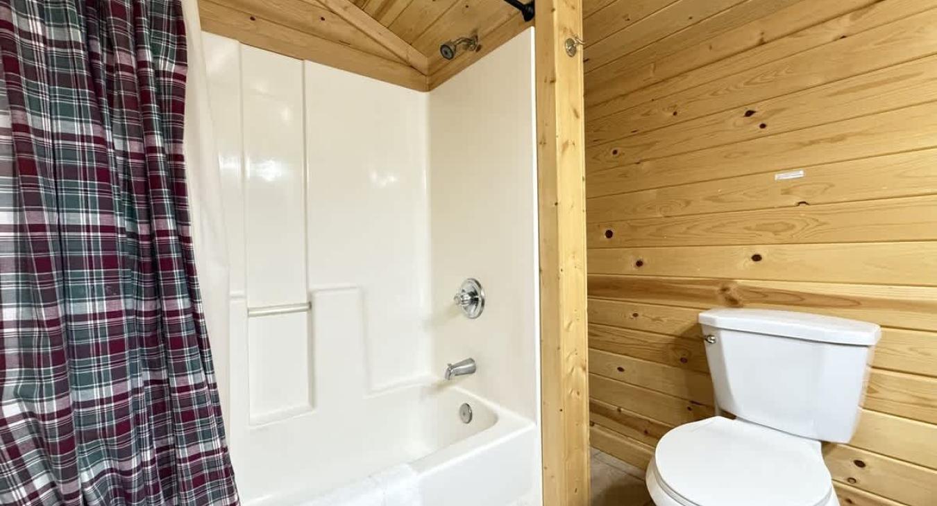 tub and shower combo