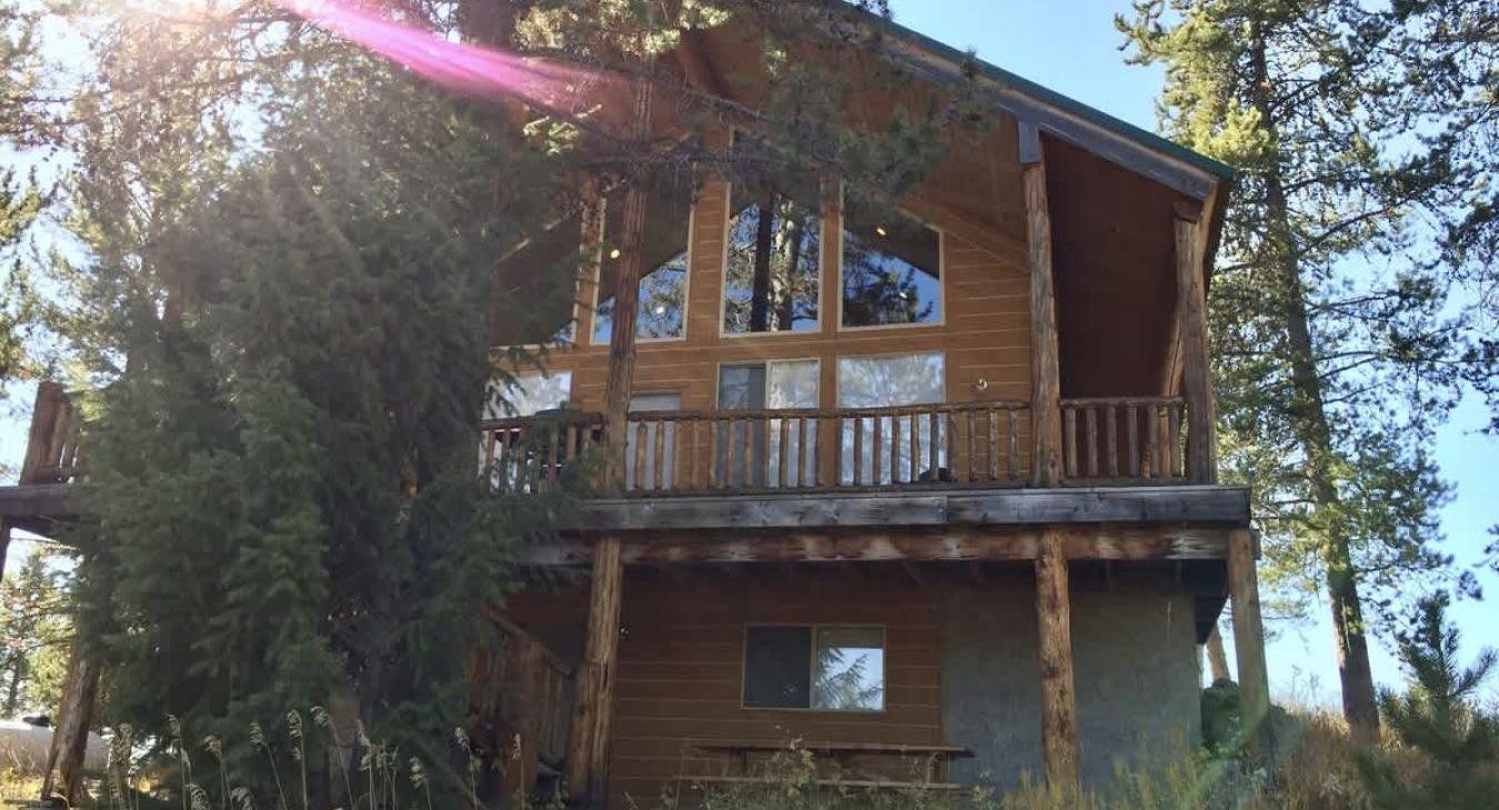 You are truly surrounded by nature in this cabin.