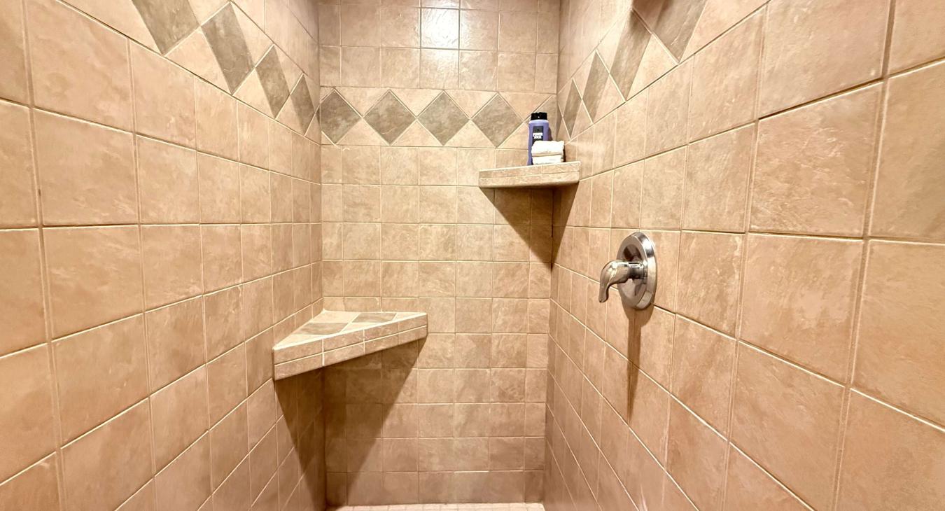 Master bathroom walk in shower.
