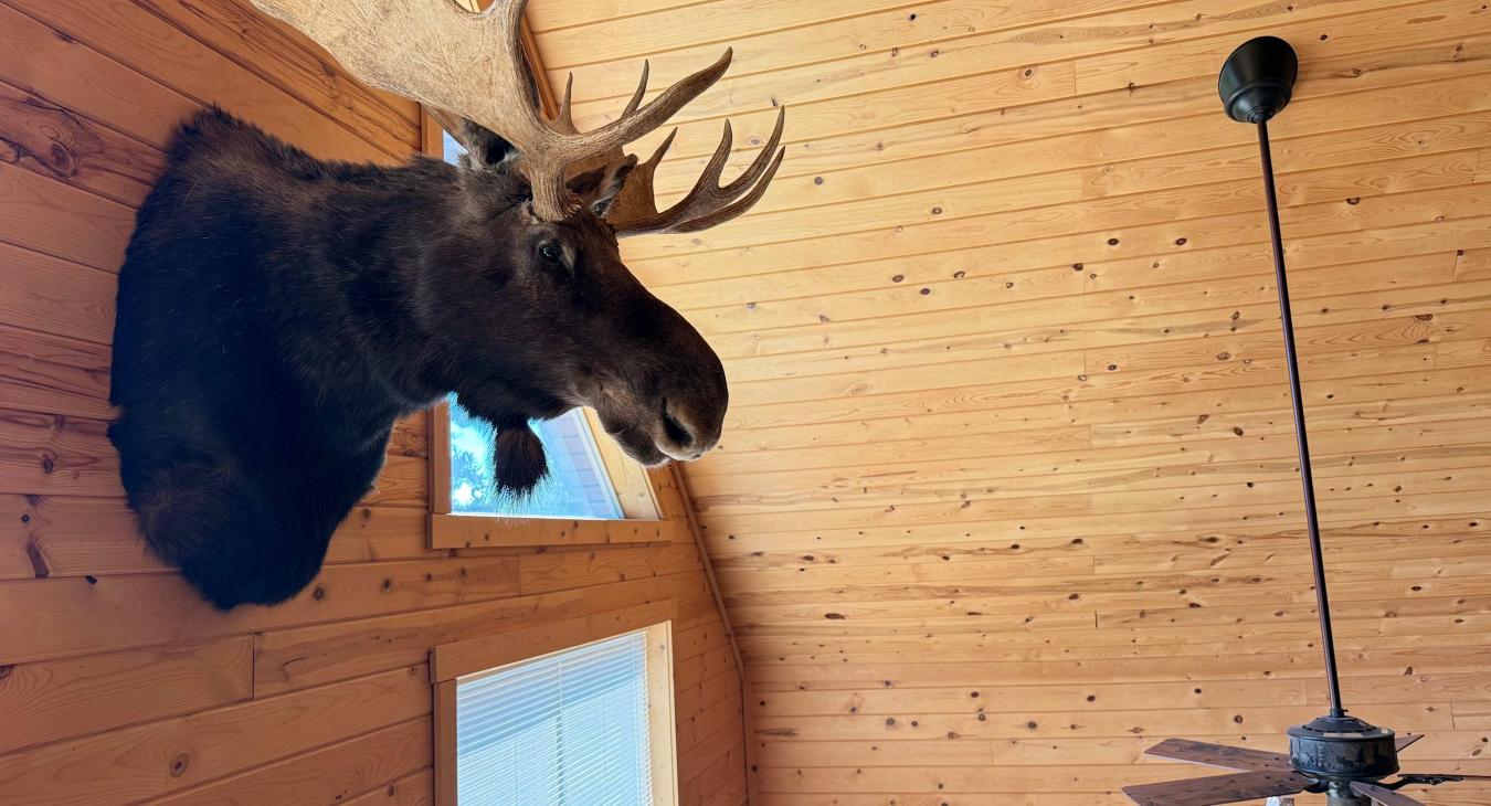 Immerse yourself in the true spirit of the great outdoors with the cabin's signature, majestic wall-mounted moose, adding the perfect rustic touch to the loft.