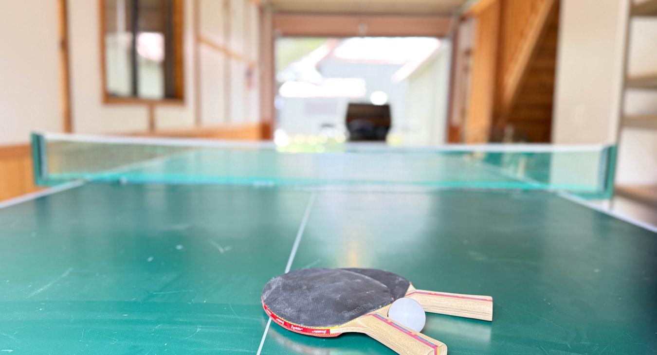 Ping Pong Table in the garage.