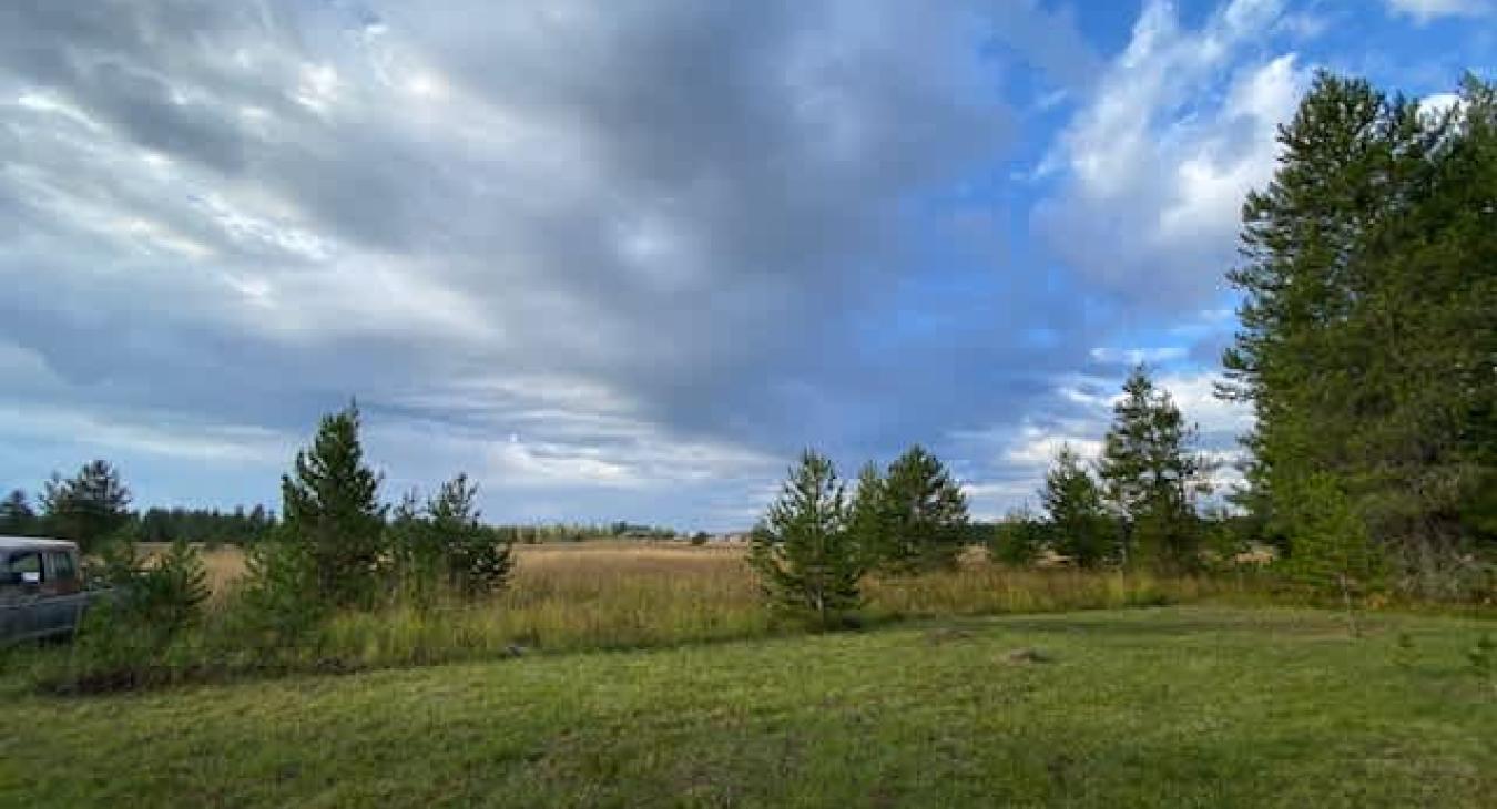 The area view from the cabin.