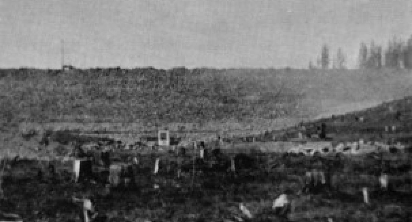 Island Park Reservoir