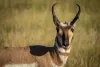 Wildlife you might see during your stay.