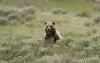 Wildlife you may encounter during your stay.