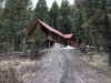 Beautiful area of the cabin with surrounding pine trees.