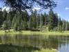 Beautiful landscape of Island Park.
