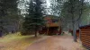 Surrounding the cabin are the beautiful pine trees.