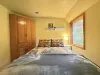 Bedroom located in the basement with a queen size bed and closet.