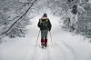 Enjoy Island Park during the winter too.