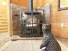 Turn on the fireplace for those cool fall evenings.