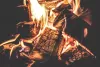 a fire pit that allows you to roast that perfect marshmallows. (bring your own wood)
