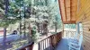 Towering pine trees surround the cabin.