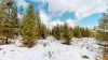 Enjoy the beautiful landscape of the cabin year round.