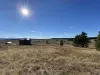 Lots of open space around the cabin.