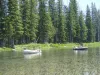 Floating the snake river