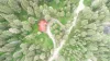 Arial view of the cabin