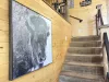 Beautiful buffalo art work.