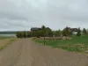 Large entry driveway for multiple vehicles.