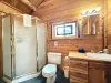 Upstairs bathroom with standing shower, toilet, and sink vanity.