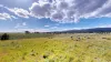 Beautiful view from the cabin.