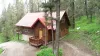 View of the cabin and the surrounding forest