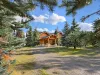 Perfect cabin for family reunions or a trip with extended families.
