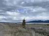 Beautiful views from the cabin.