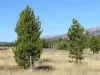 Beautiful landscape nearby.