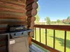 Propane BBQ grill with propane provided