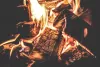 Bear Creek has a fire pit that allows you to roast that perfect marshmallows.