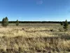 Beautiful views from the cabin.