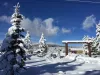 Bear Cave cabins are located in Yellowstone Lux.
