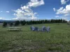 Enjoy the beautiful landscape just outside of the cabin.
