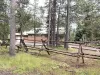 Enjoy the scenery around you at Black Bear Bungalow.