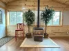 Gas fireplace