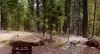 Enjoy some s'mores by the fire and take in the beautiful landscape.