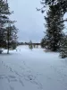 Wintery scene outside of the cabin.