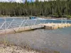 Shared boat dock and access to the Island Park Reservoir