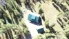 Arial view of the cabin and surrounding pines.