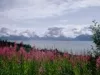 Island Park, Idaho