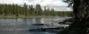 Coffee Pot Rapids