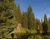 Island Park, Idaho